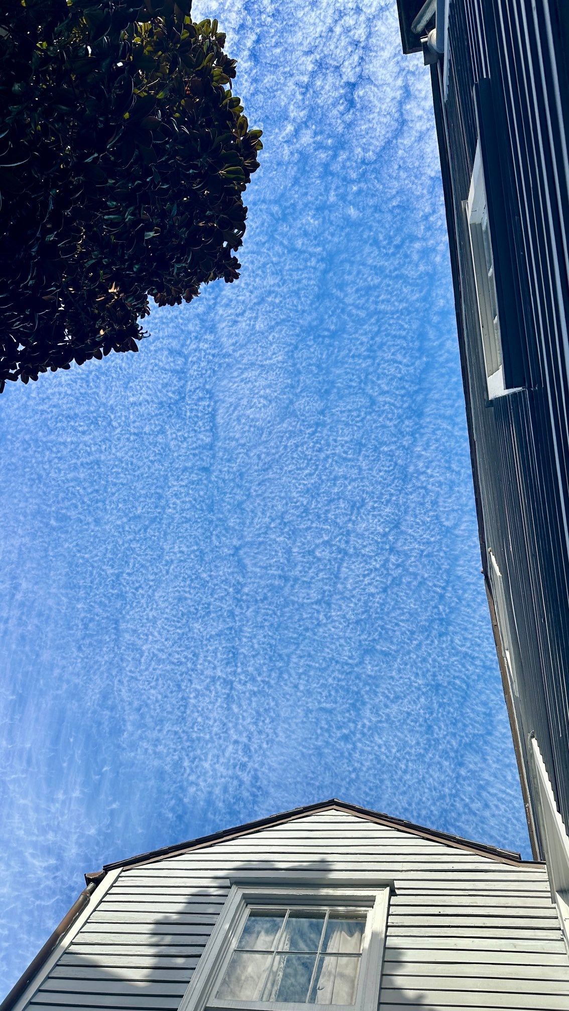 Sky is just doing that today